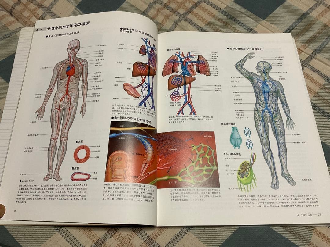 ナースが視る病気と、ナースが視る人体（医学書）講談社。【これから医師を目指す方】