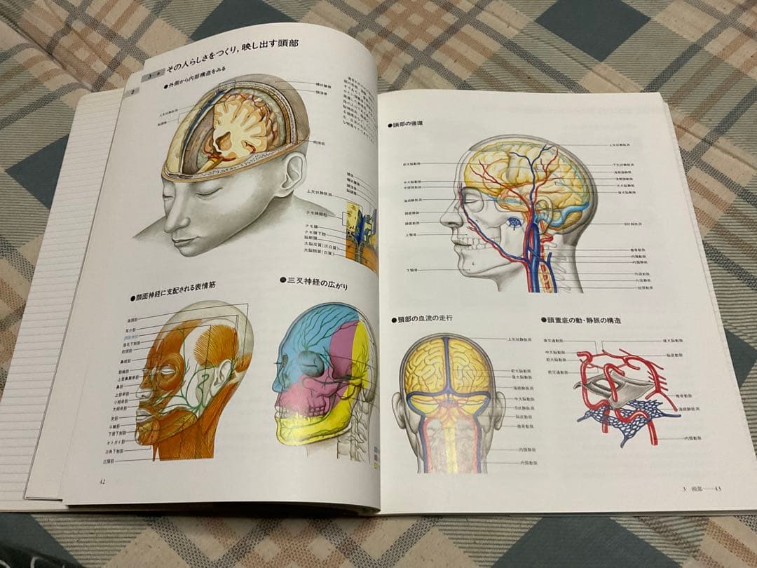 ナースが視る病気と、ナースが視る人体（医学書）講談社。【これから医師を目指す方】