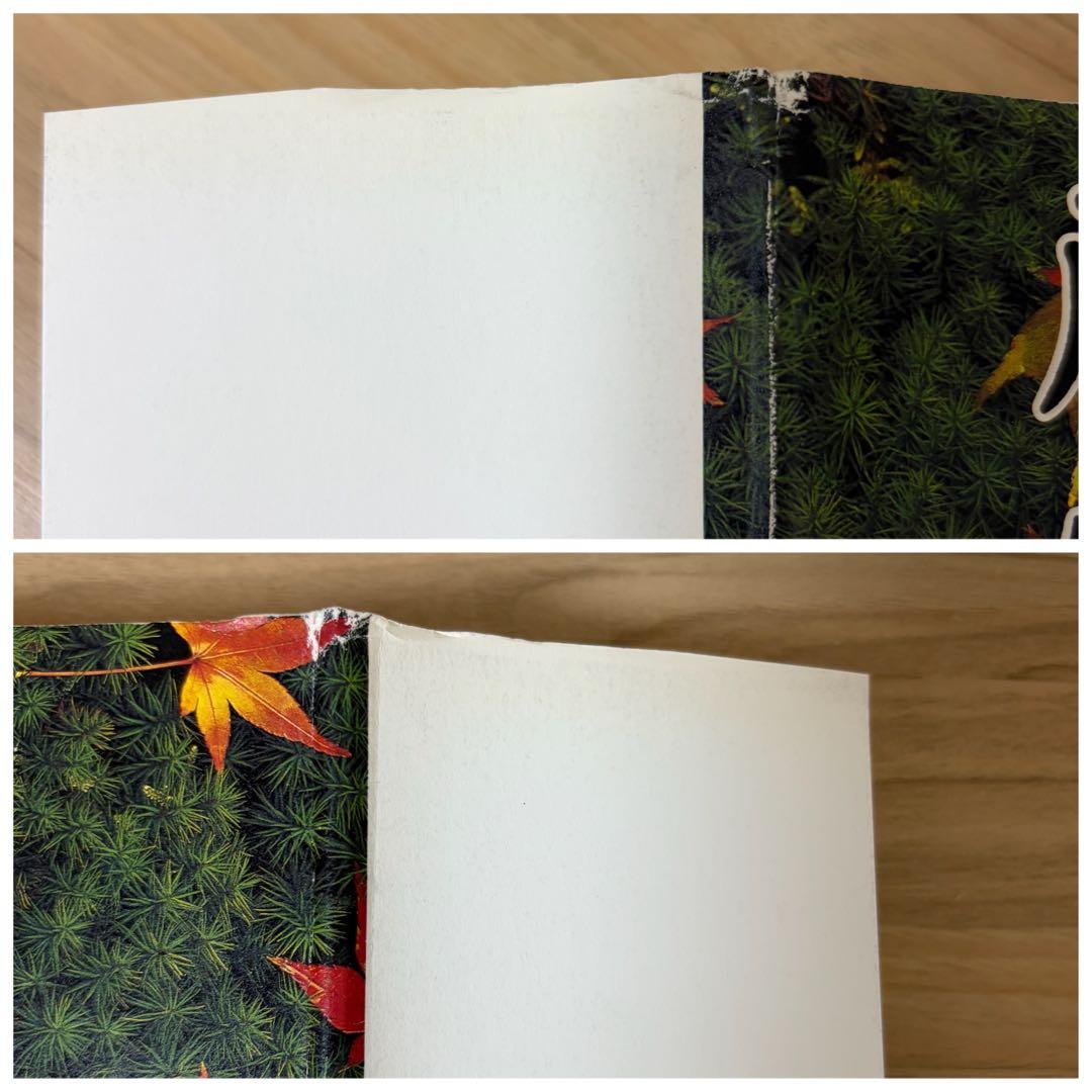 新選組藤堂平助　秋山香乃　初版