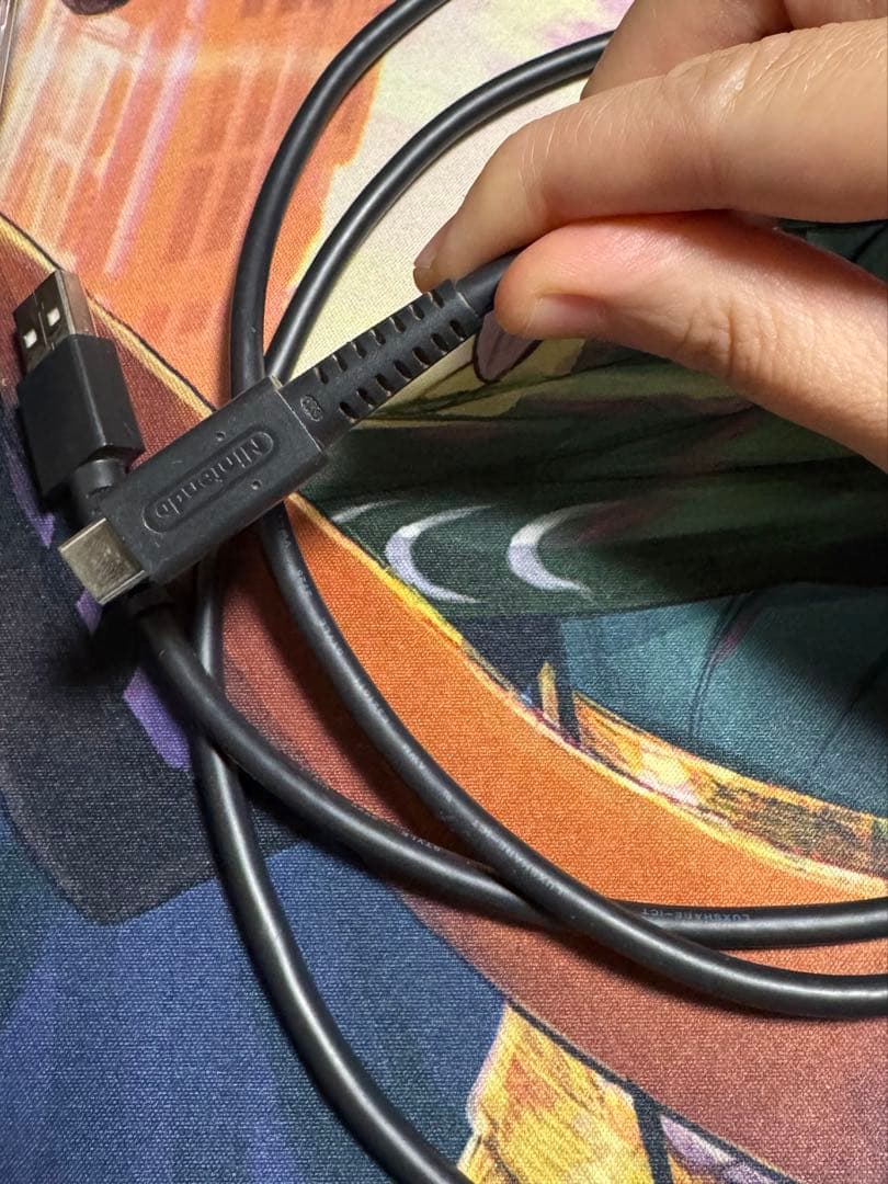 Nintendo Switch Lite 本体＋オマケ