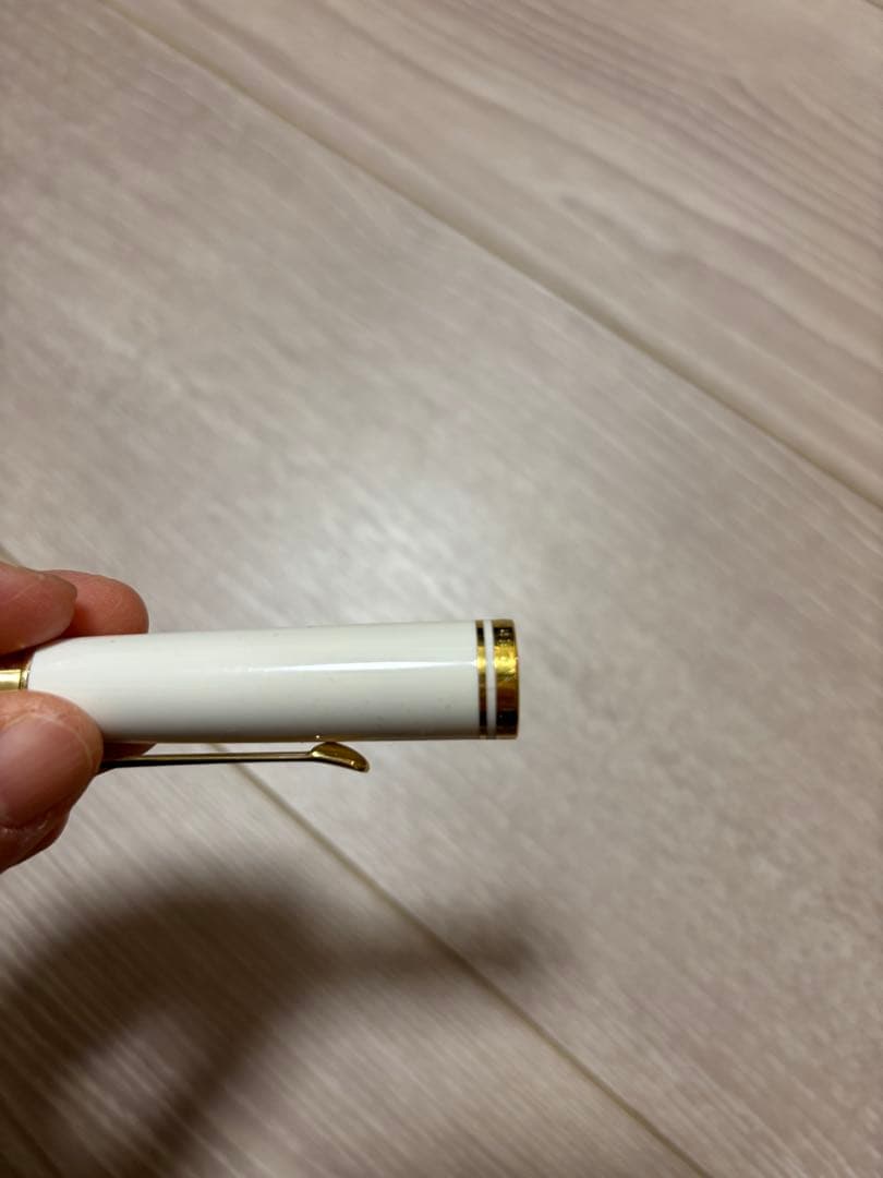 Pelikan ペリカン万年筆スーベーレーンターコイズEF・インクはおまけ