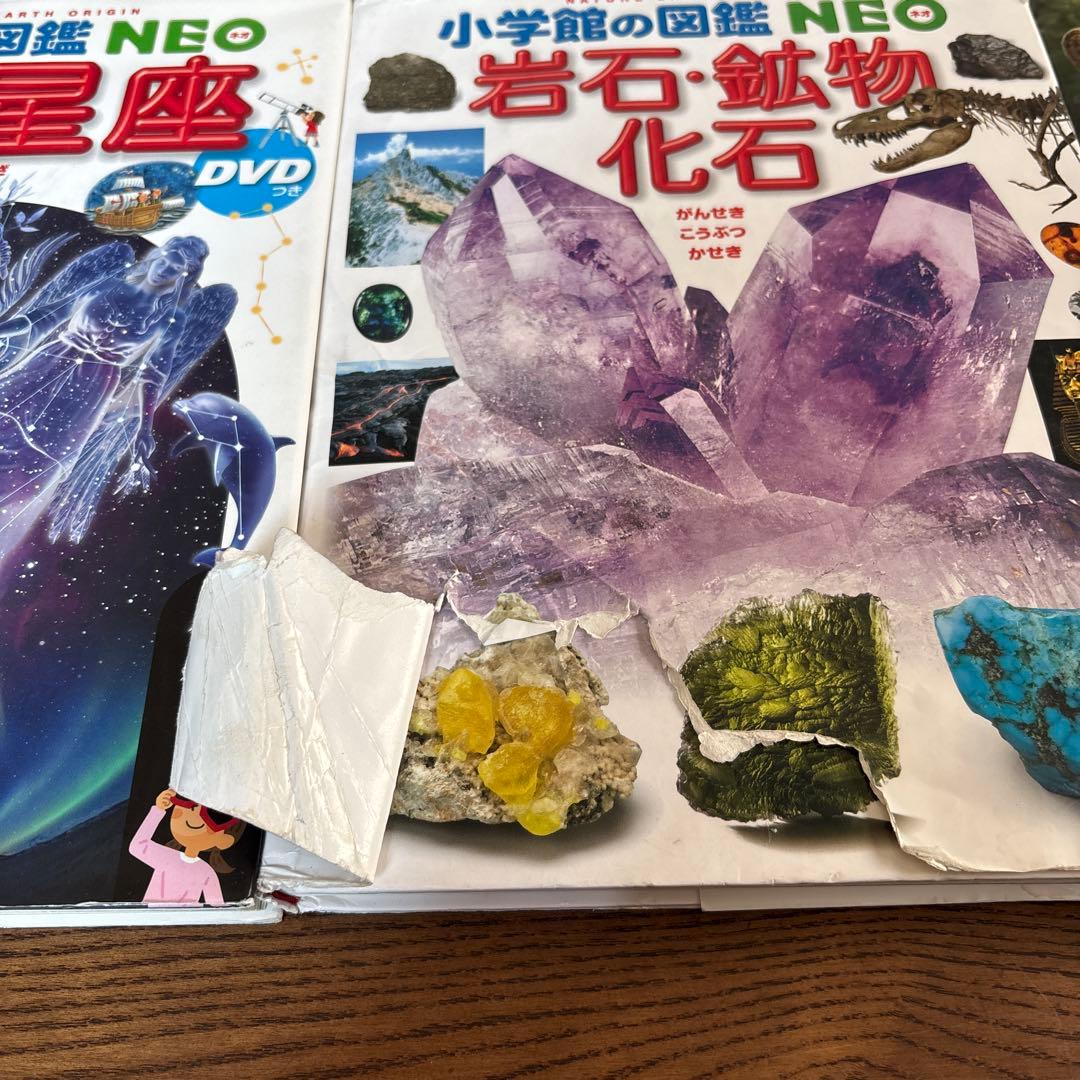 小学館の図鑑NＥＯ等　図鑑7冊セット