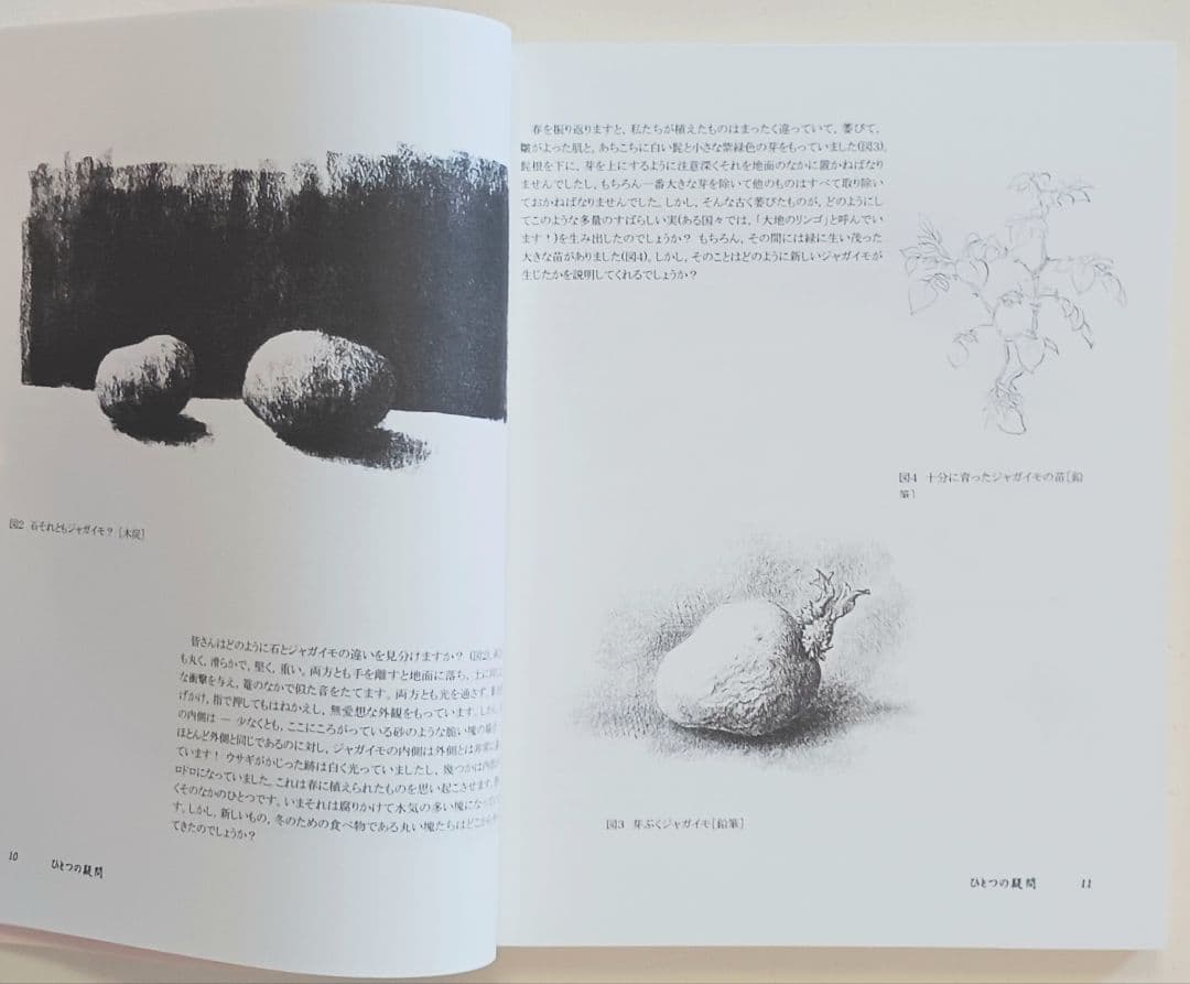 【新品未使用】植物への新しいまなざし ゲーテ＝シュタイナー的植物観察術