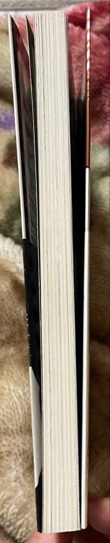 無*メ様 逆転裁判キャラクターズ4コマKINGDOM