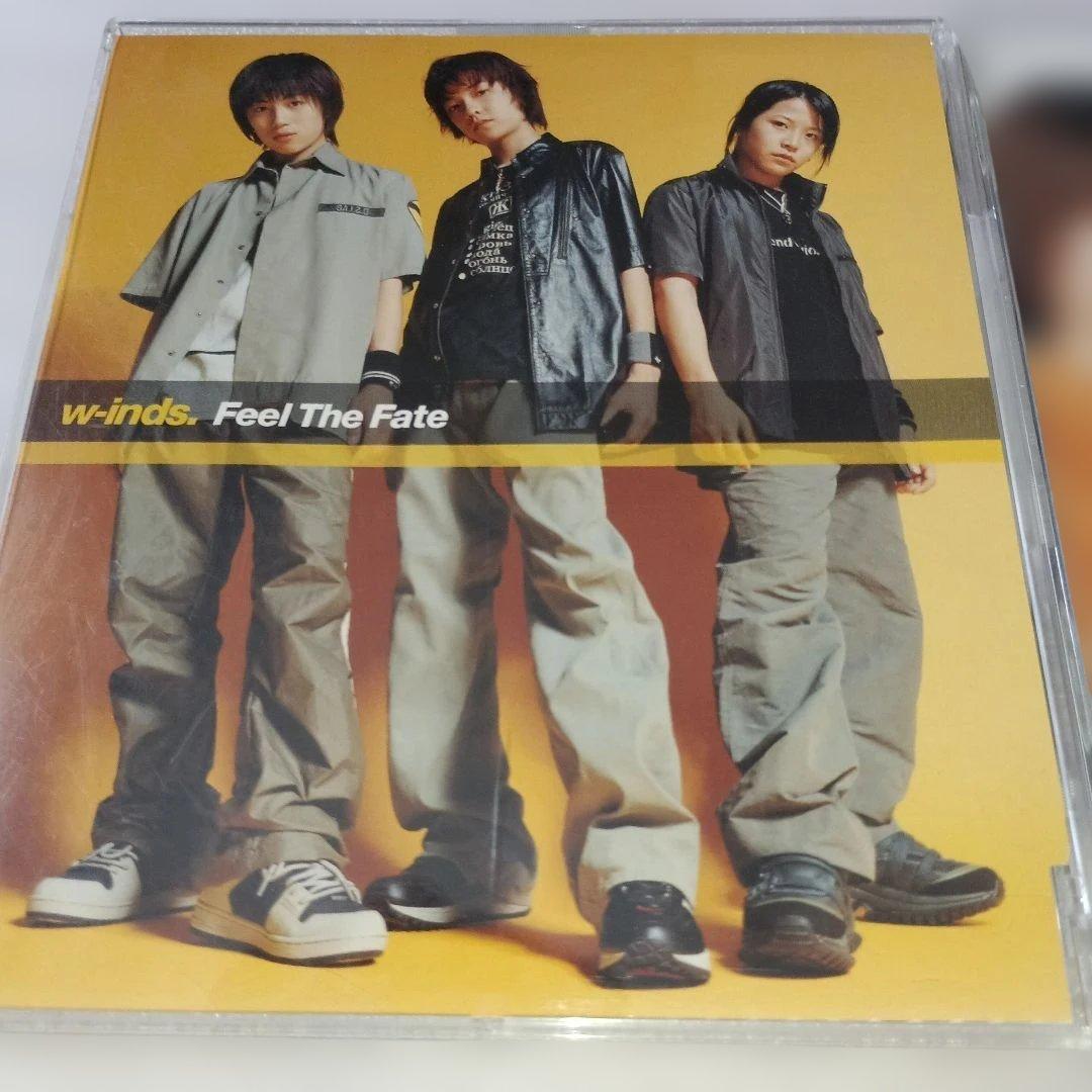 【12点】 w-inds. CD + 雑誌 まとめ売り