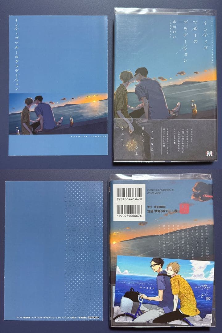 ブルースカイコンプレックス　アニメイト　特装版　小冊子