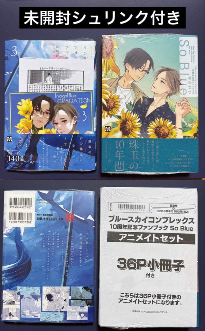 ブルースカイコンプレックス　アニメイト　特装版　小冊子