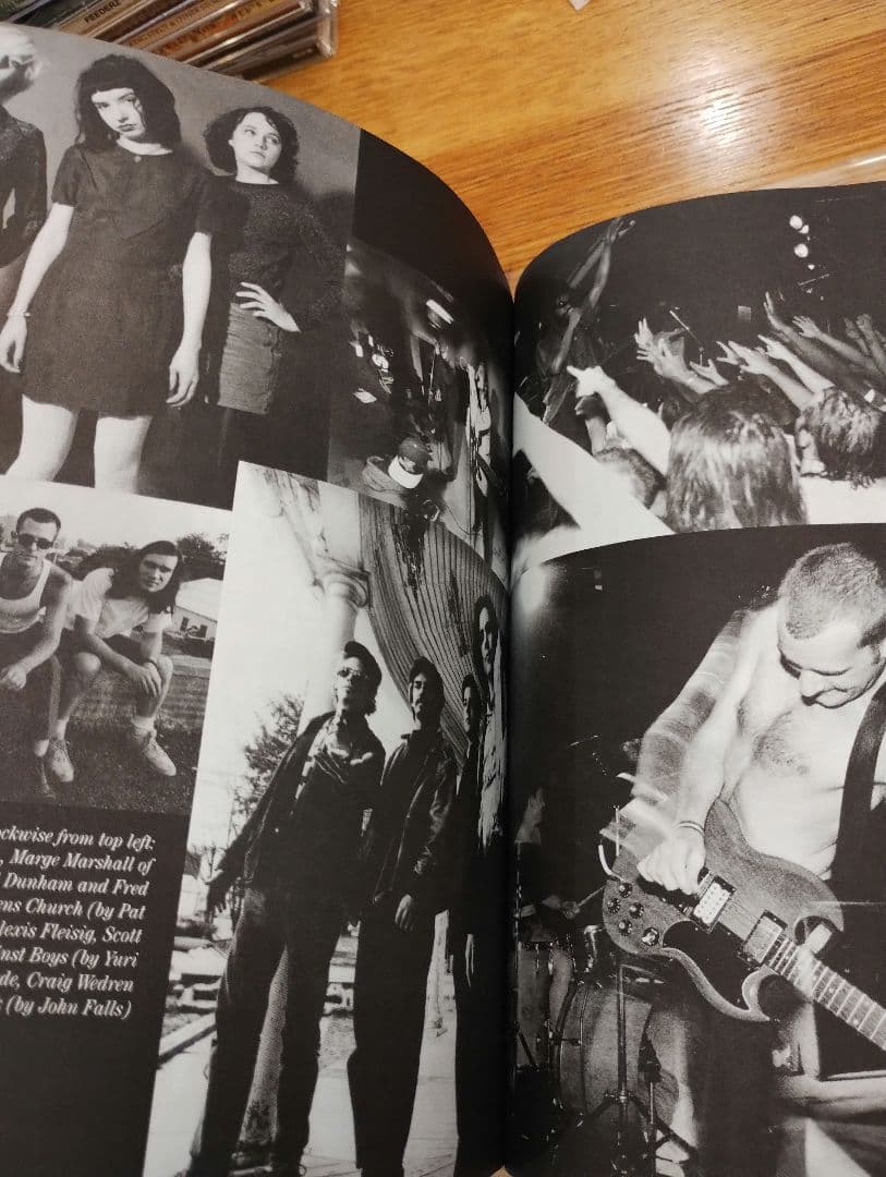 MARK ANDERSEN / DCハードコア伝記/DANCE OF DAYS