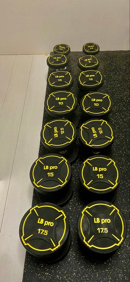 業務用 LP gym TPUダンベル 140kg④