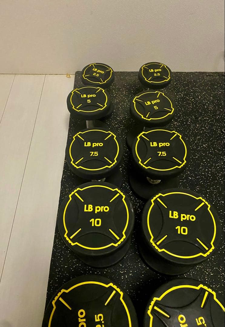 業務用 LP gym TPUダンベル 140kg④