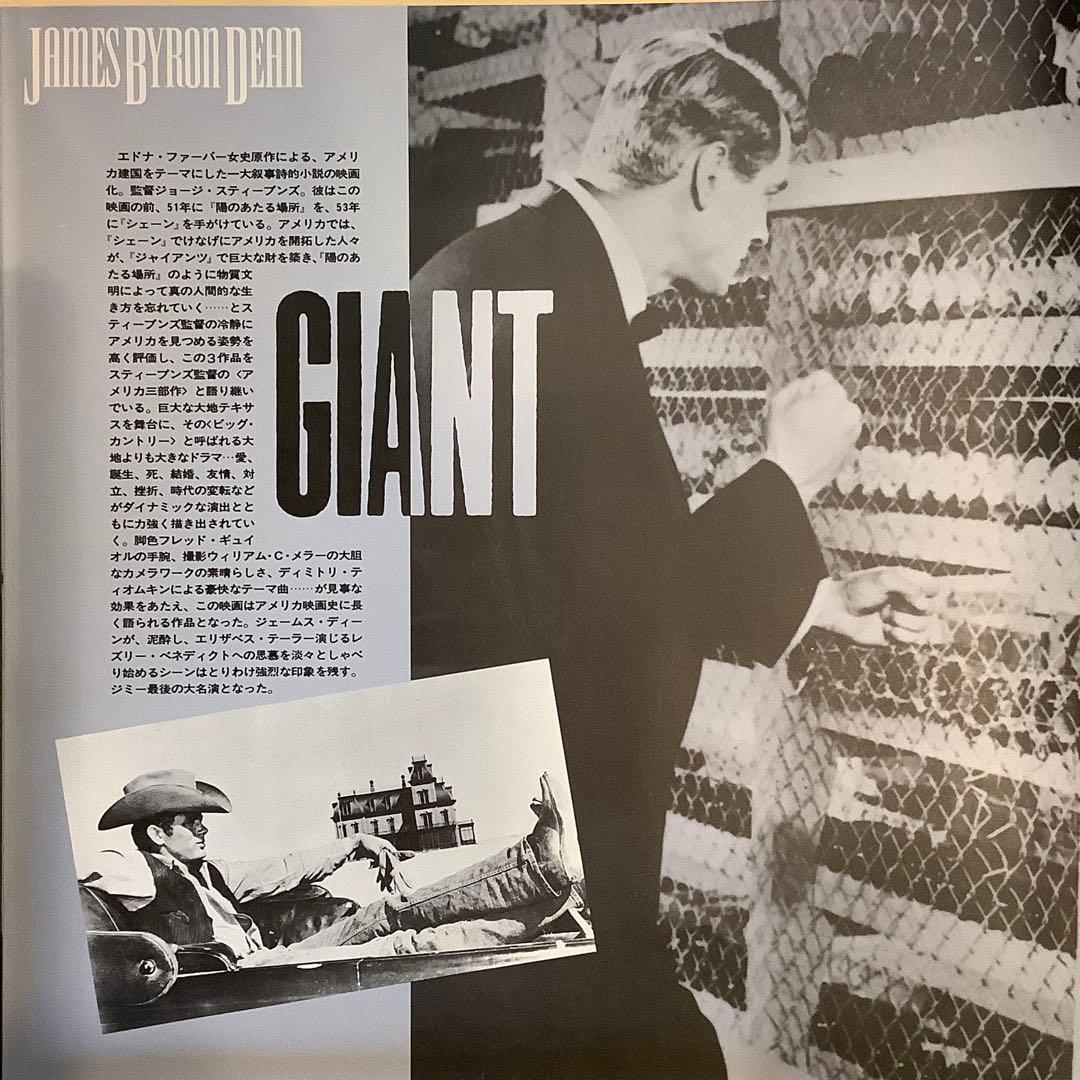 ジェームス.ディーン全集★レーザーディスク★
