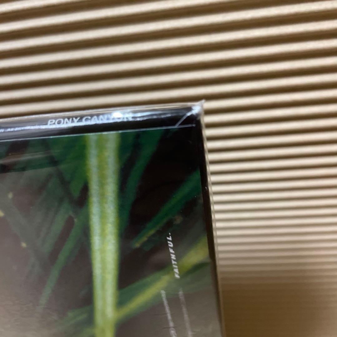 エレファントカシマシ ココロに花を レコード 新品