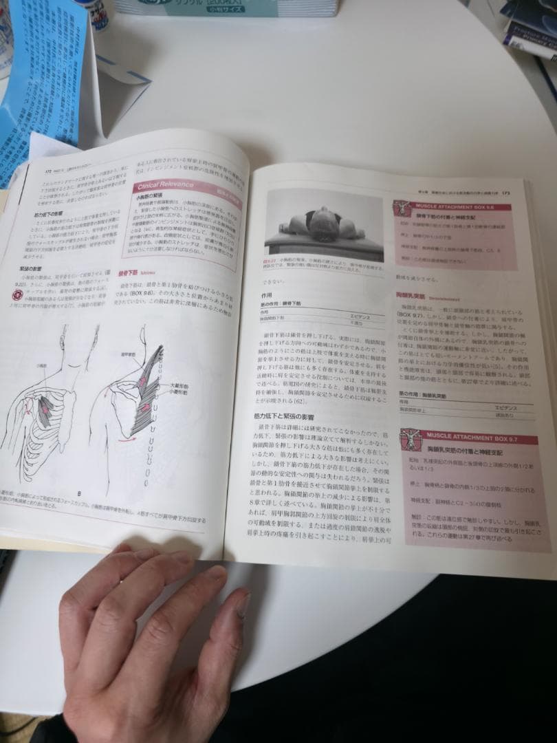 キネシオロジー 身体運動の力学と病態力学 第2版