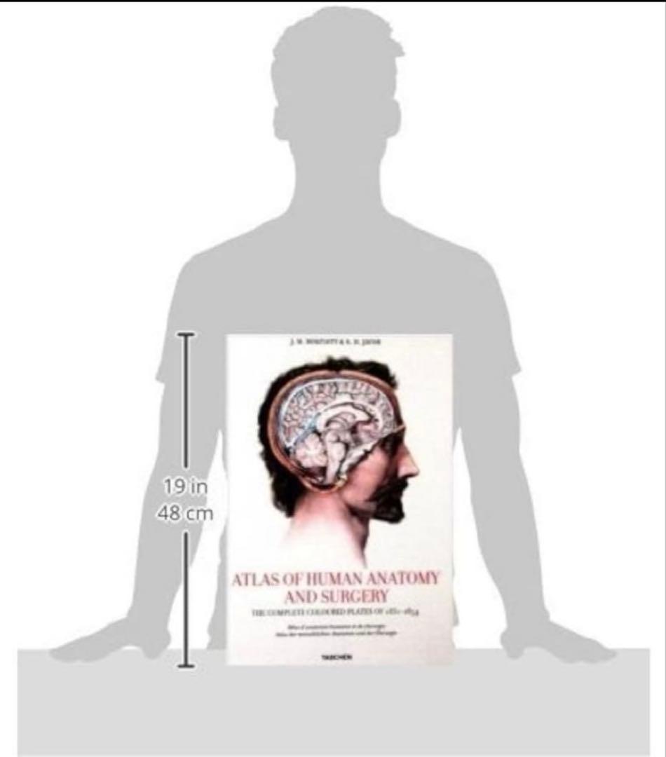 健康・医学 ATLAS OF HUMAN ANATOMY AND SURGERY