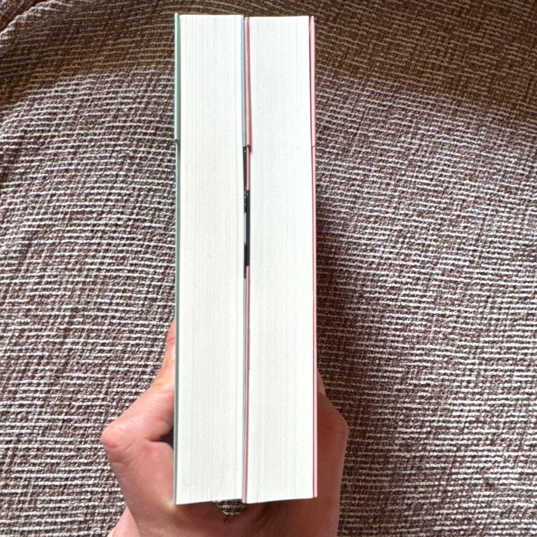 【25年初版】犬の年 上＋下 セット / ギュンター・グラス ※値下不可