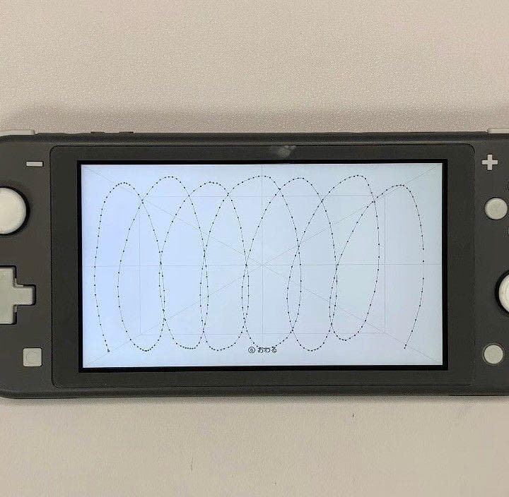 Nintendo Switch Lite 本体 動作品 グレー