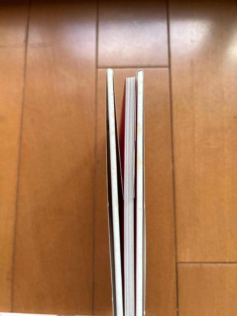 【写真集】TM NETWORK 宇都宮隆 MOGU(モグ) わたしのひとりごと