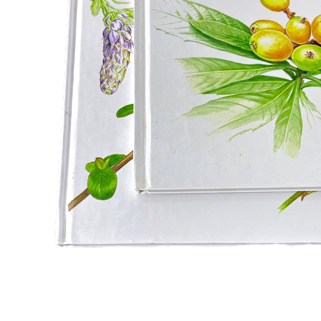 花と実の図鑑シリーズ1〜7巻セット / 斉藤謙綱 / 三原道弘 / 偕成社