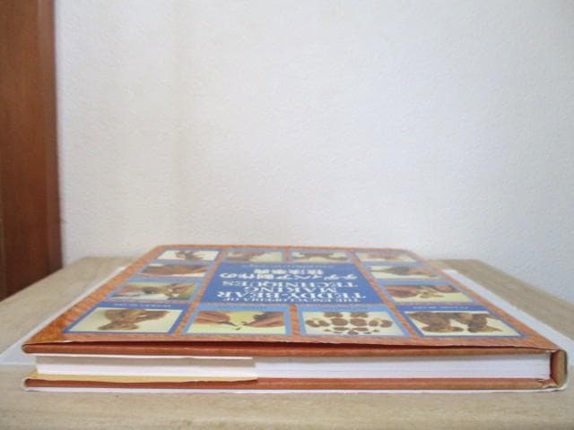 テディベア制作の技法事典　アリシア・メレット