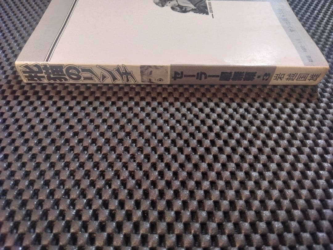 稀少【vintageコミック】雌猫のリンチ　岩越国雄　サン出版