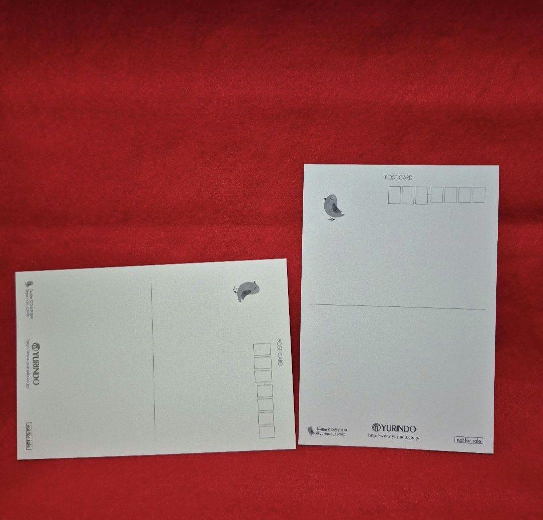 聖闘士星矢 セインティア翔 特典 イラストカード 有隣堂 子馬座 翔子 アテナ