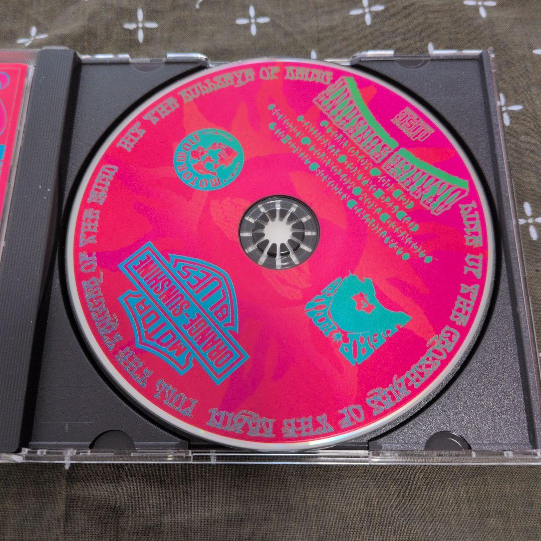 Orange Sunshine 2nd リーフハウンド