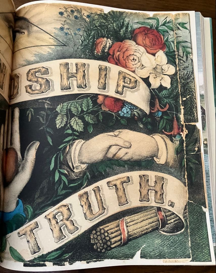 ジョンデリアン ピクチャーブック