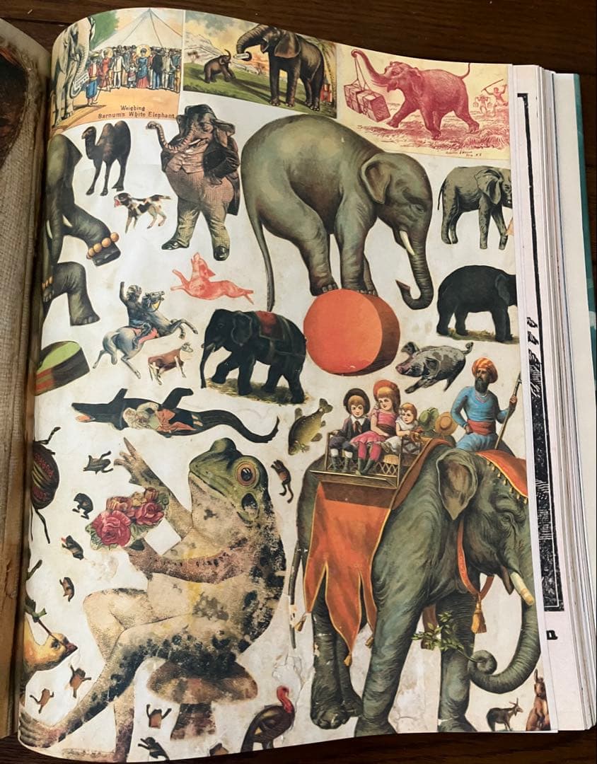 ジョンデリアン ピクチャーブック