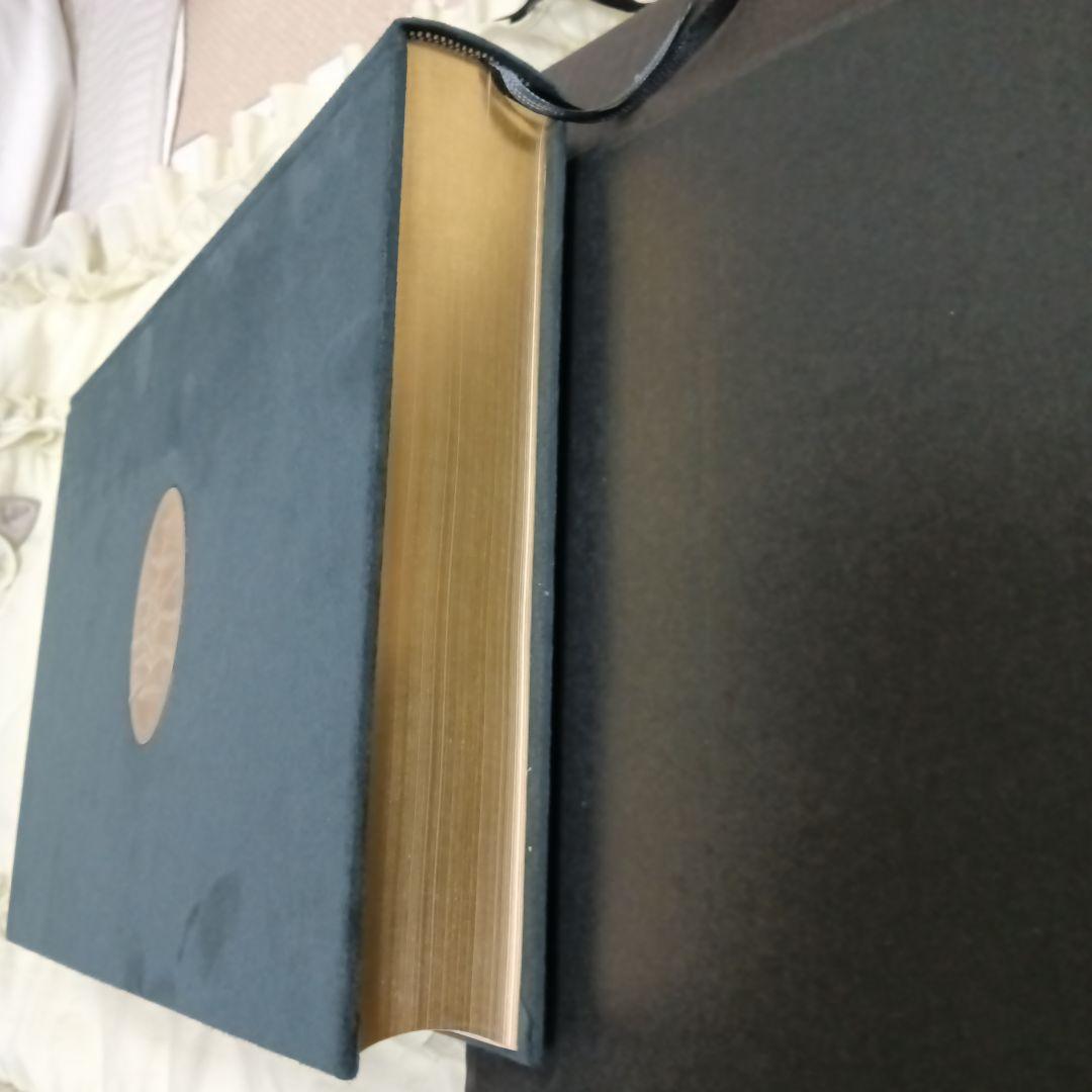 ルイ・イカール 画集 La vie de Louis icart