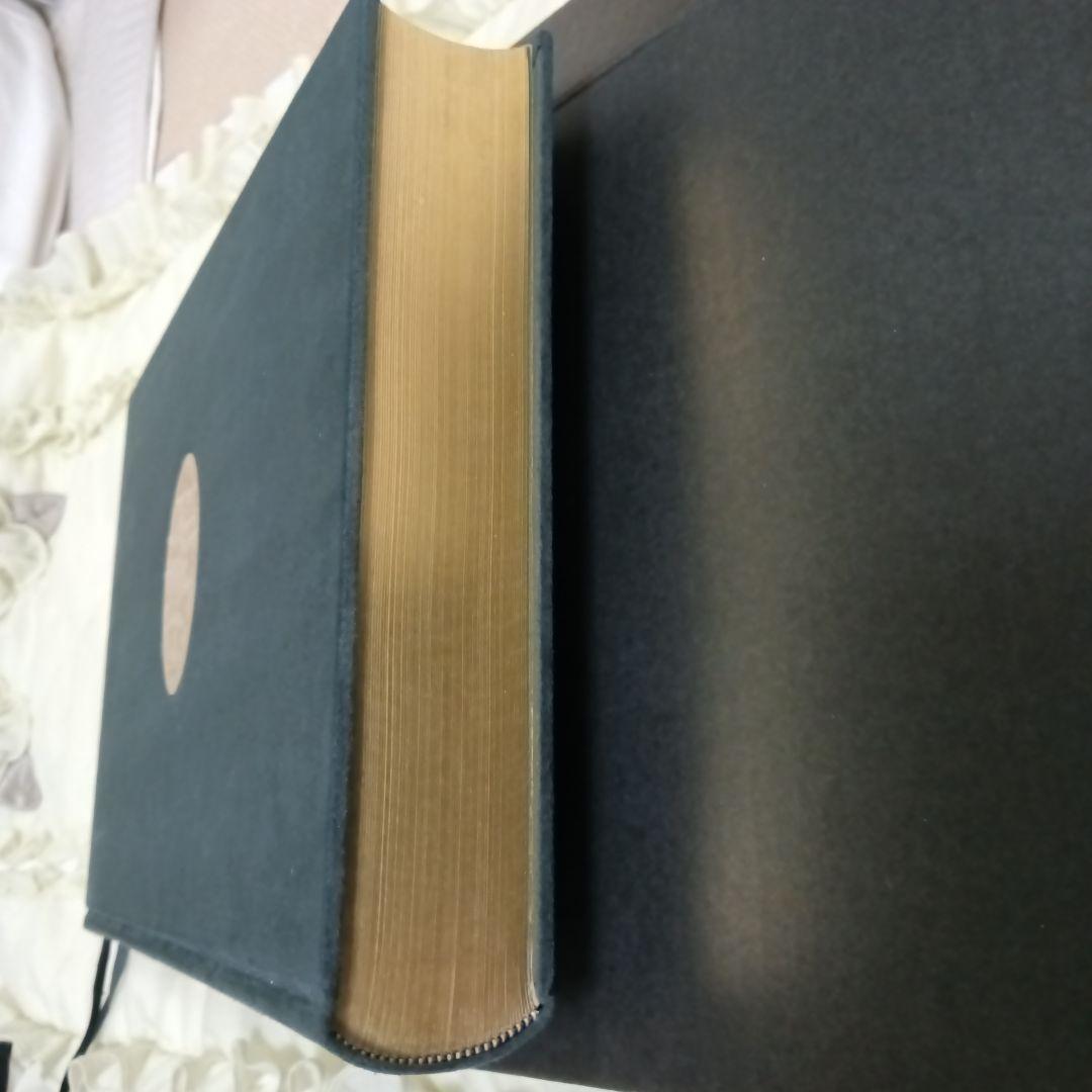 ルイ・イカール 画集 La vie de Louis icart