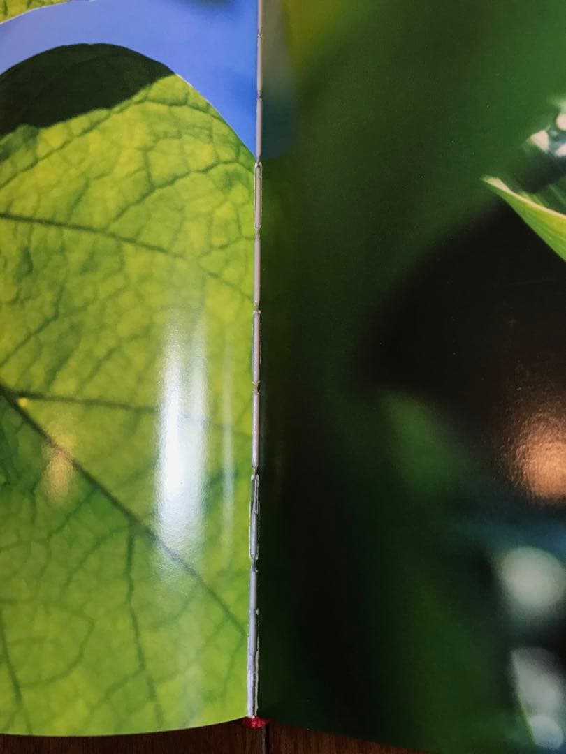 PLANTWORLDS アンドレア・ジョーンズ 植物写真集 洋書