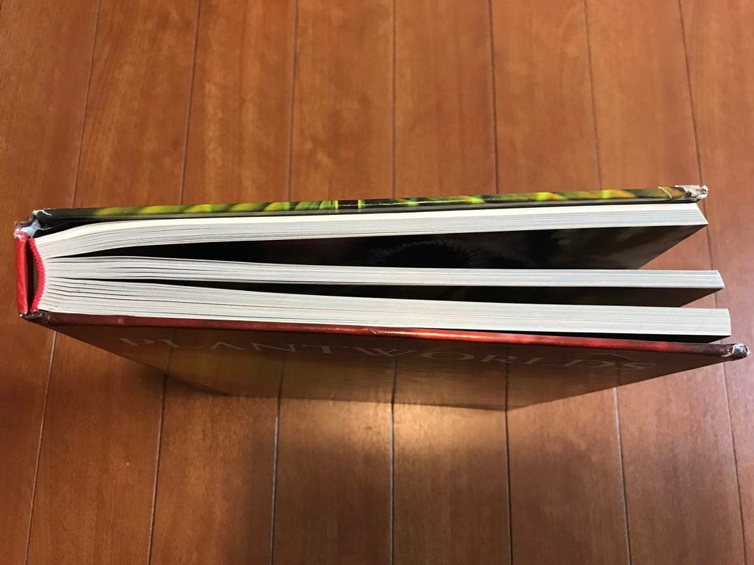 PLANTWORLDS アンドレア・ジョーンズ 植物写真集 洋書