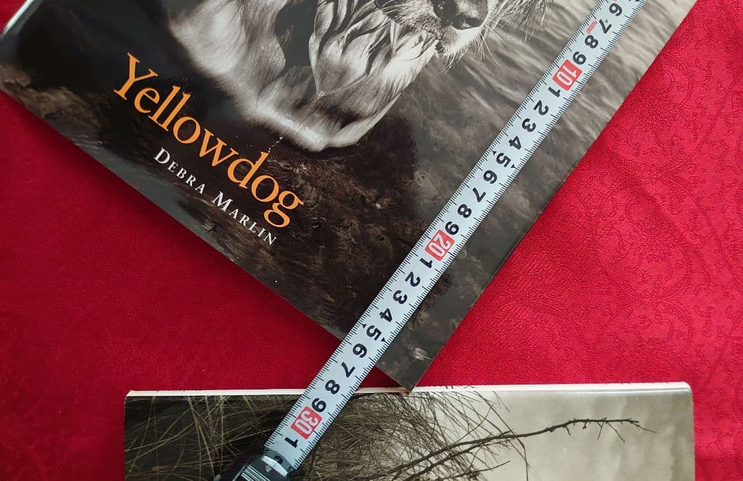 ゴールデンレトリバー　著者デブラマーリン　写真集2冊　洋書　希少価値