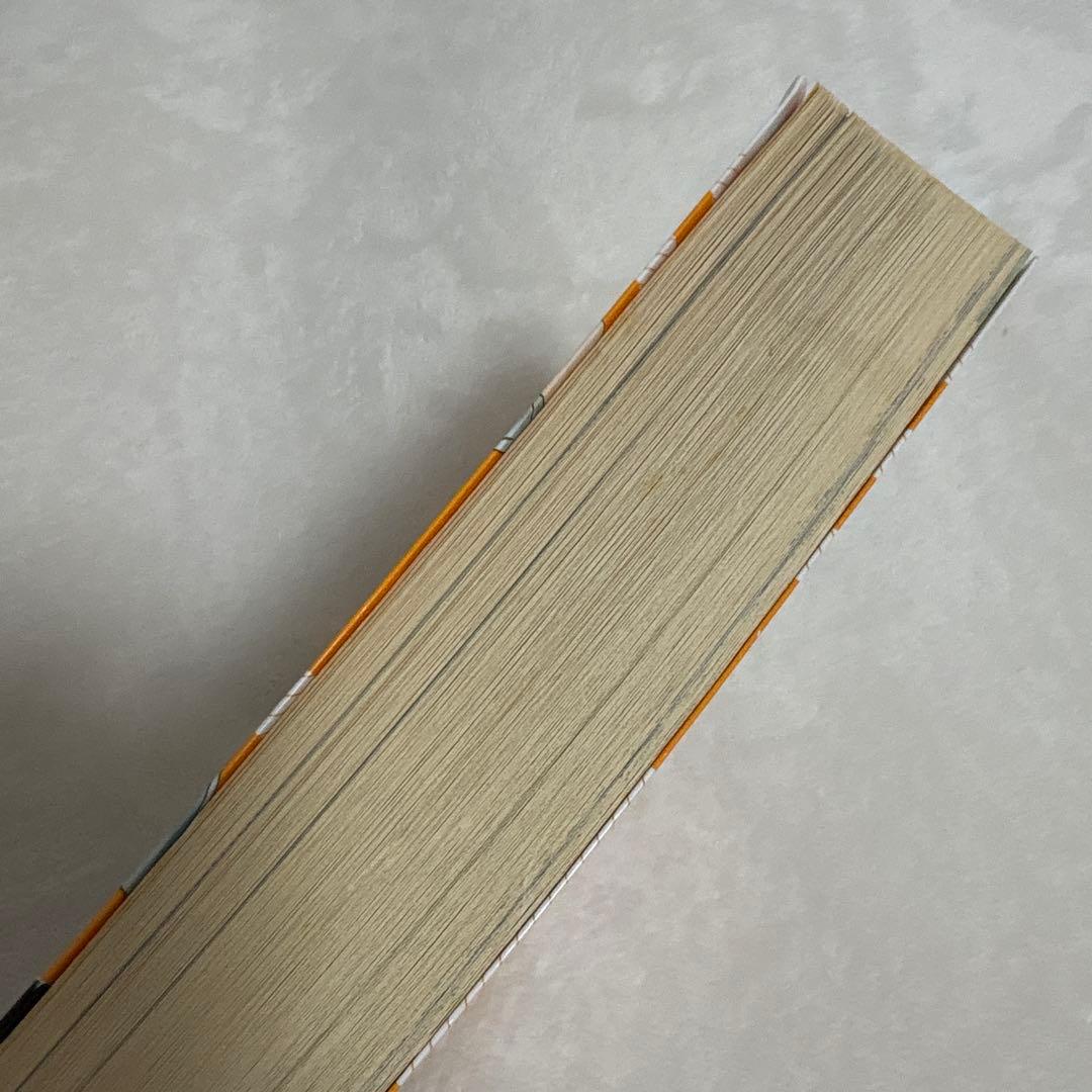 韓国漫画 チーズ・イン・ザ・トラップ 初版　帯付き