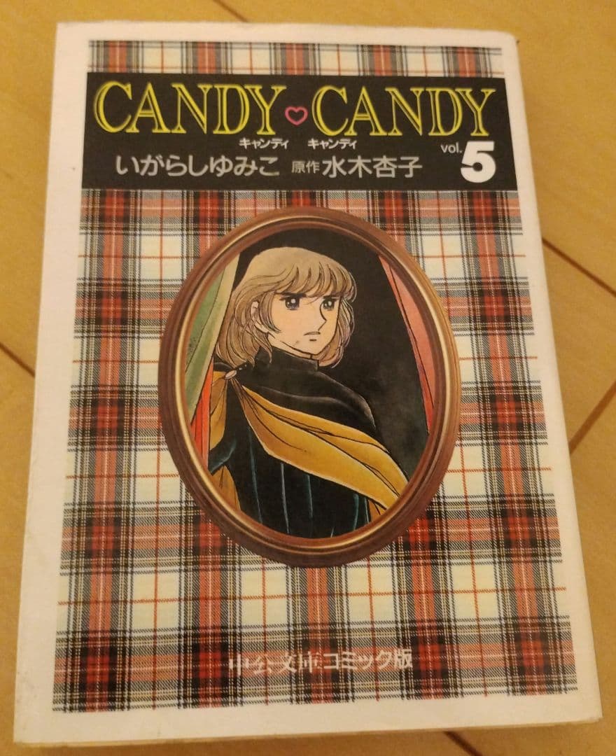 キャンディ♡キャンディ 文庫本 全巻セット