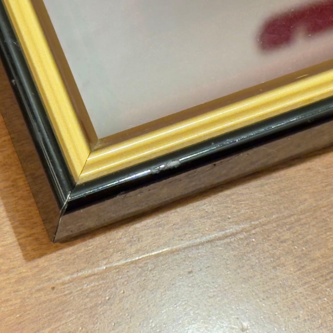 瑠*子様 瀬戸内寂聴 『一隅を照らす』 色紙 色紙額