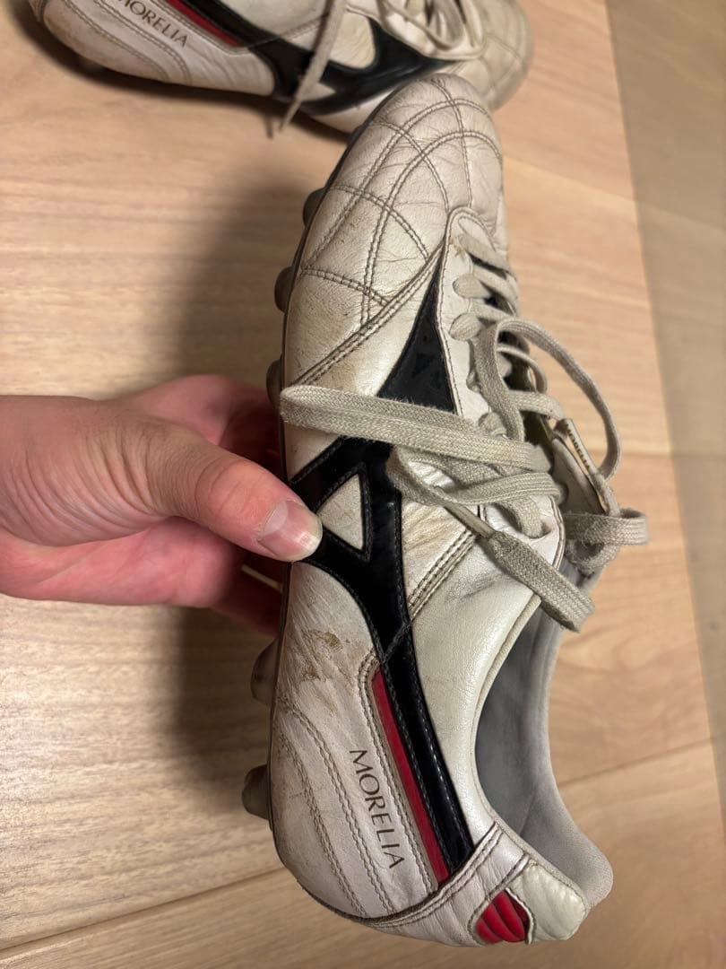 モレリア2JAPAN クロスステッチ26cm