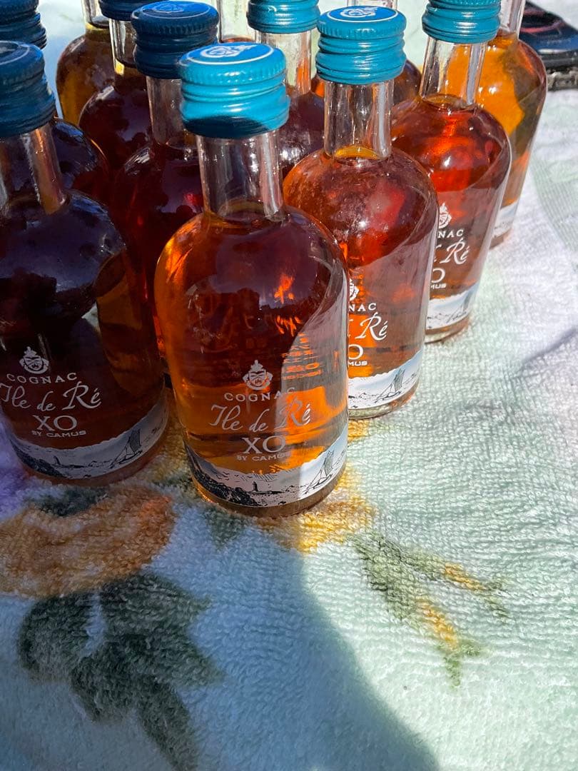 Cognac CAMUS カミュ　イル ド レ XO ミニチュアボトル　１４本