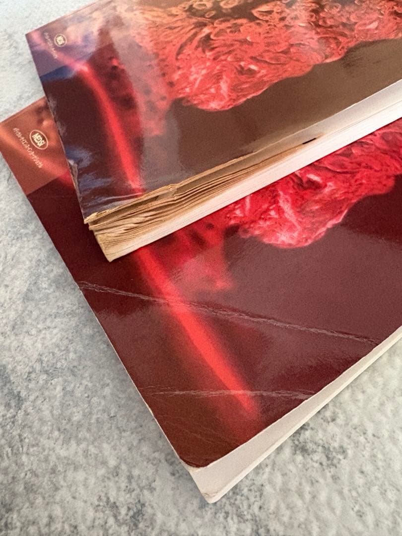 【まとめ売り】INTENSIVIST インテンシヴィスト　医学書、参考書