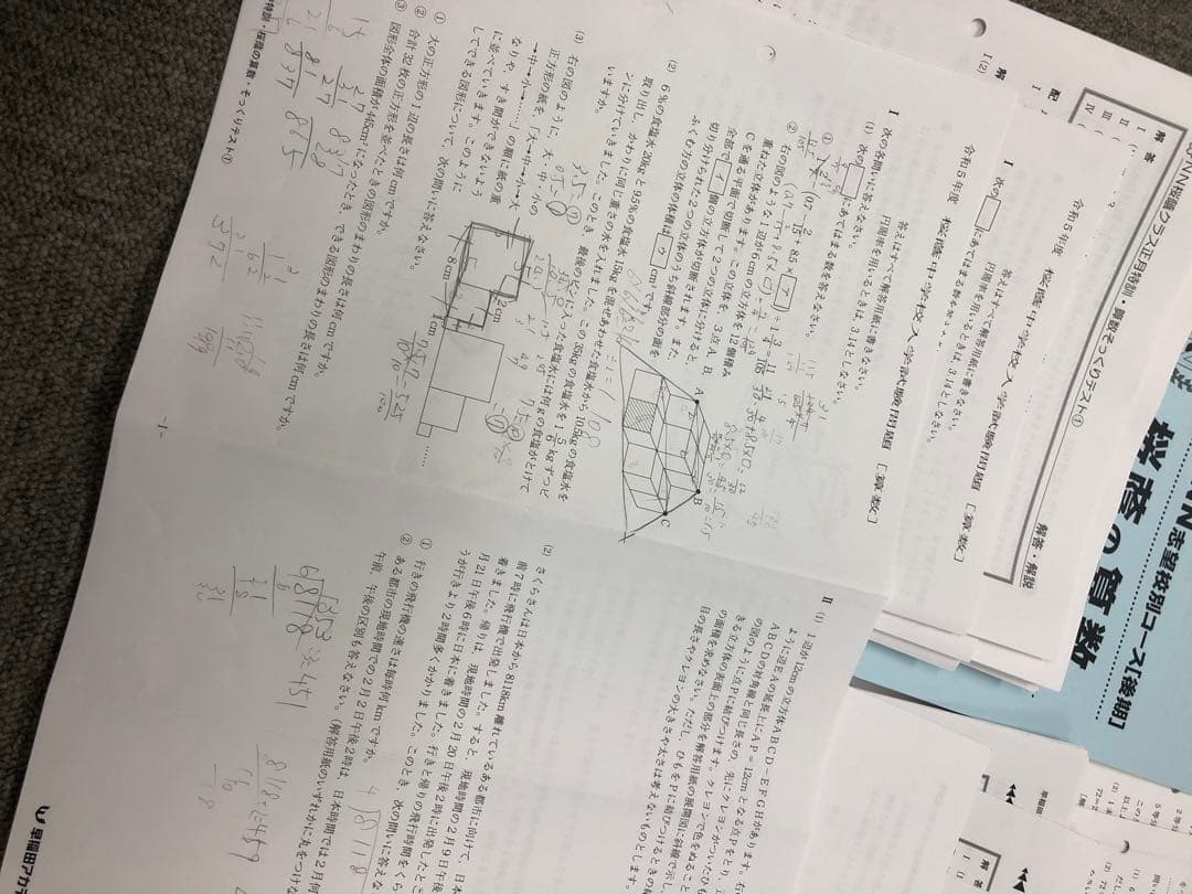 早稲田アカデミー　6年　NN桜蔭 志望校別　後期/正月特訓 2023年受験
