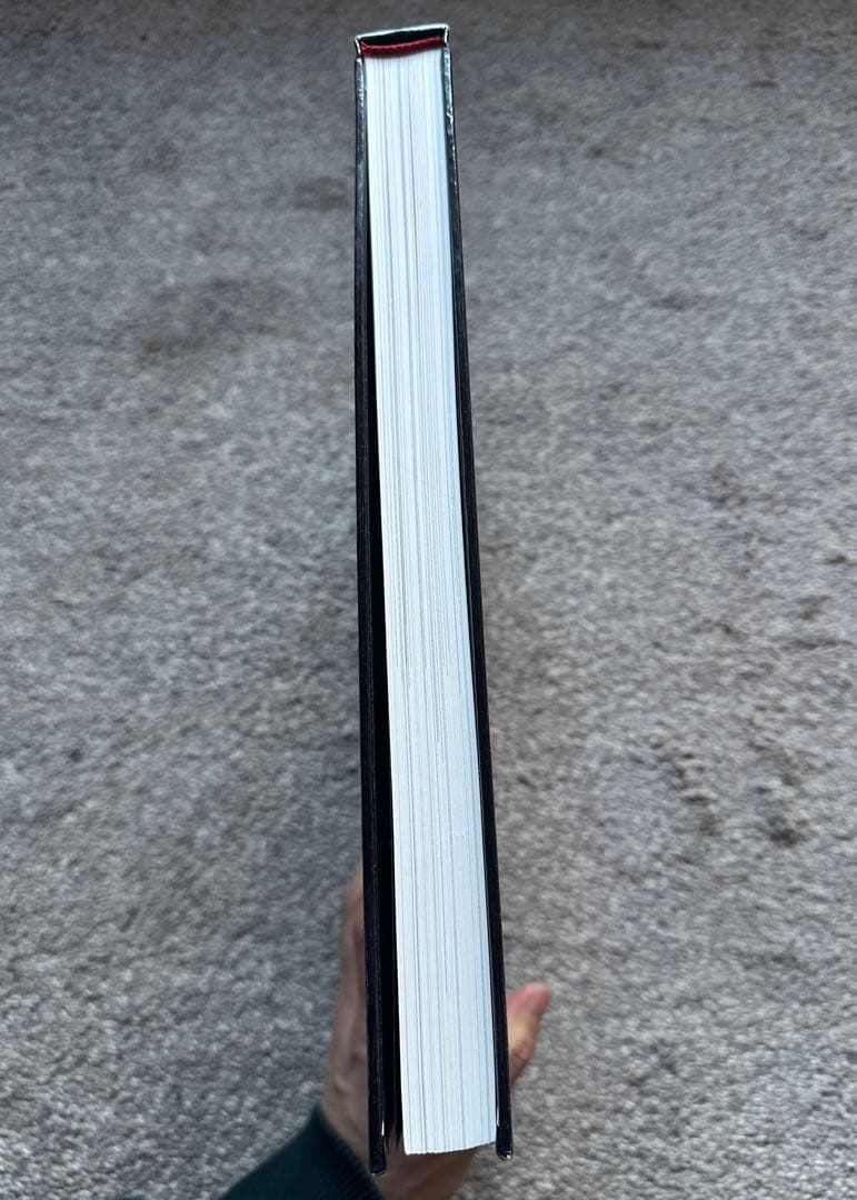 【希少】GUY BOURDIN IN BETWEEN