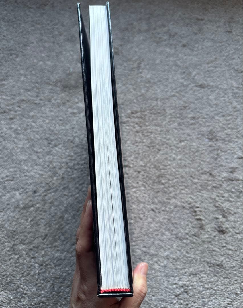 【希少】GUY BOURDIN IN BETWEEN