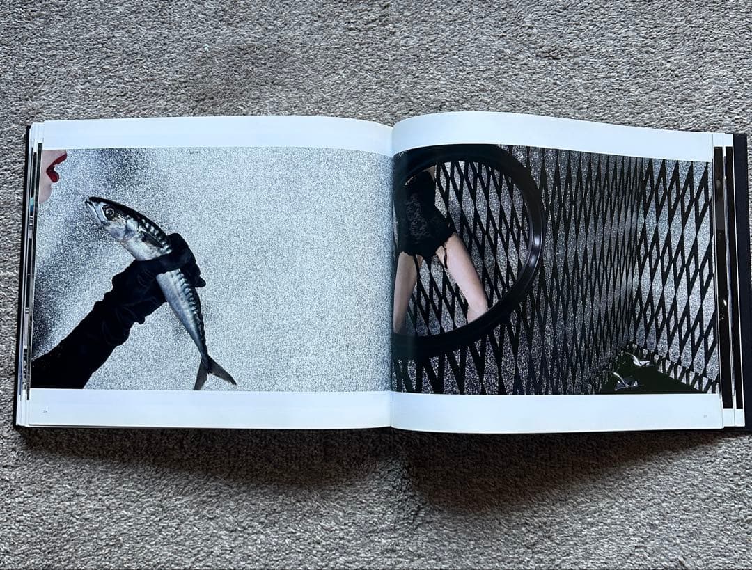 【希少】GUY BOURDIN IN BETWEEN