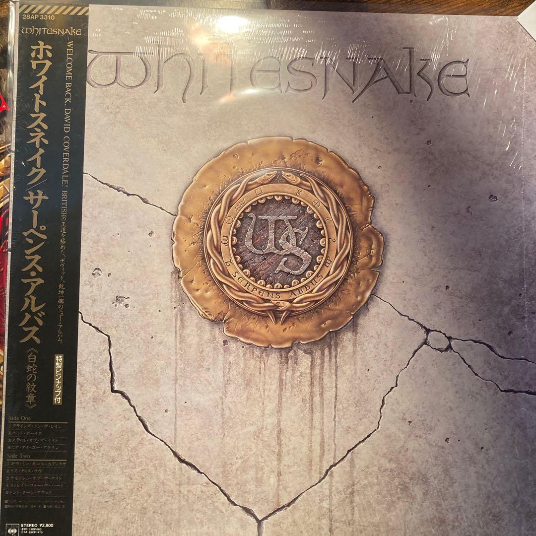 Whitesnake 2枚セット　洋楽レコード