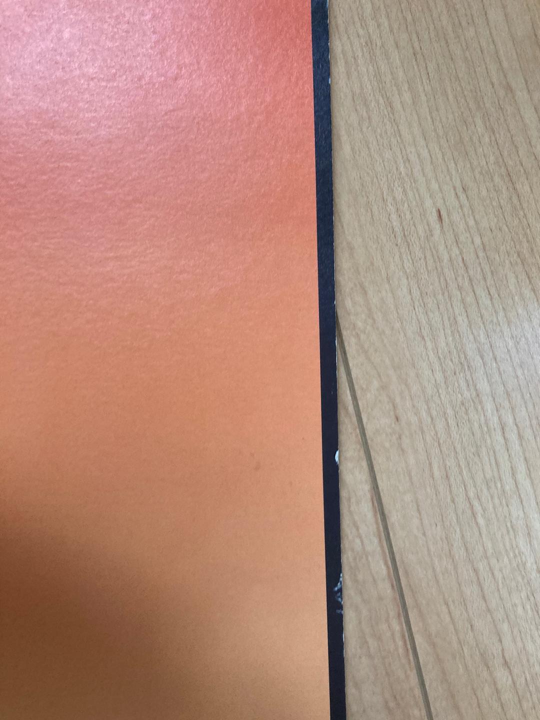 LIFE エレファントカシマシツアーパンフレット