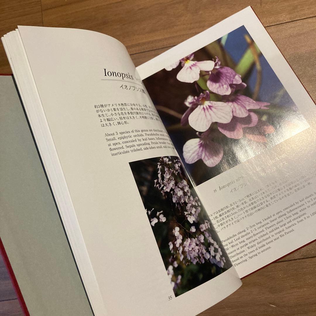 野生ラン 写真集「艶蘭亭 ADELANTE - パラグアイの野生蘭と甲虫」小山貢