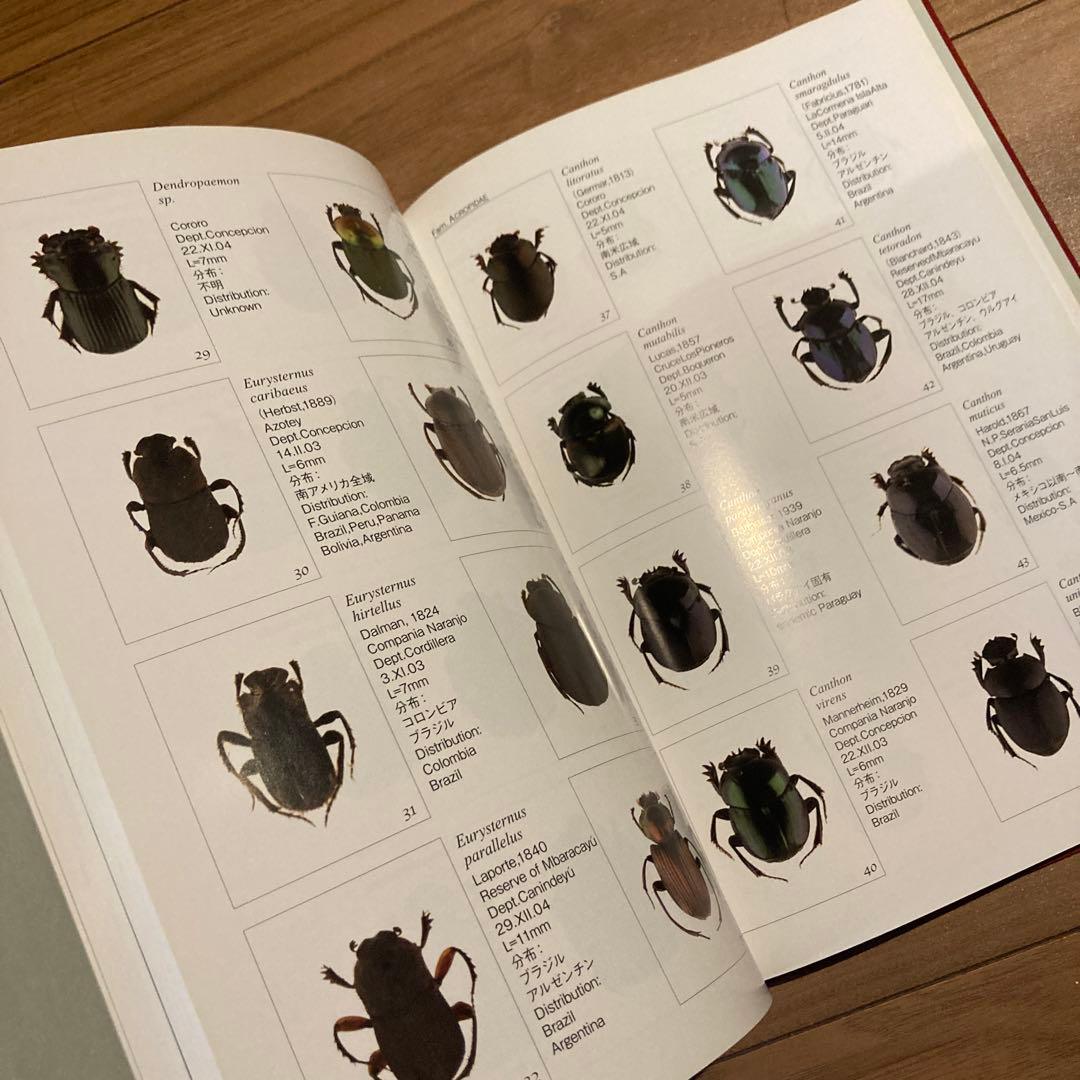 野生ラン 写真集「艶蘭亭 ADELANTE - パラグアイの野生蘭と甲虫」小山貢