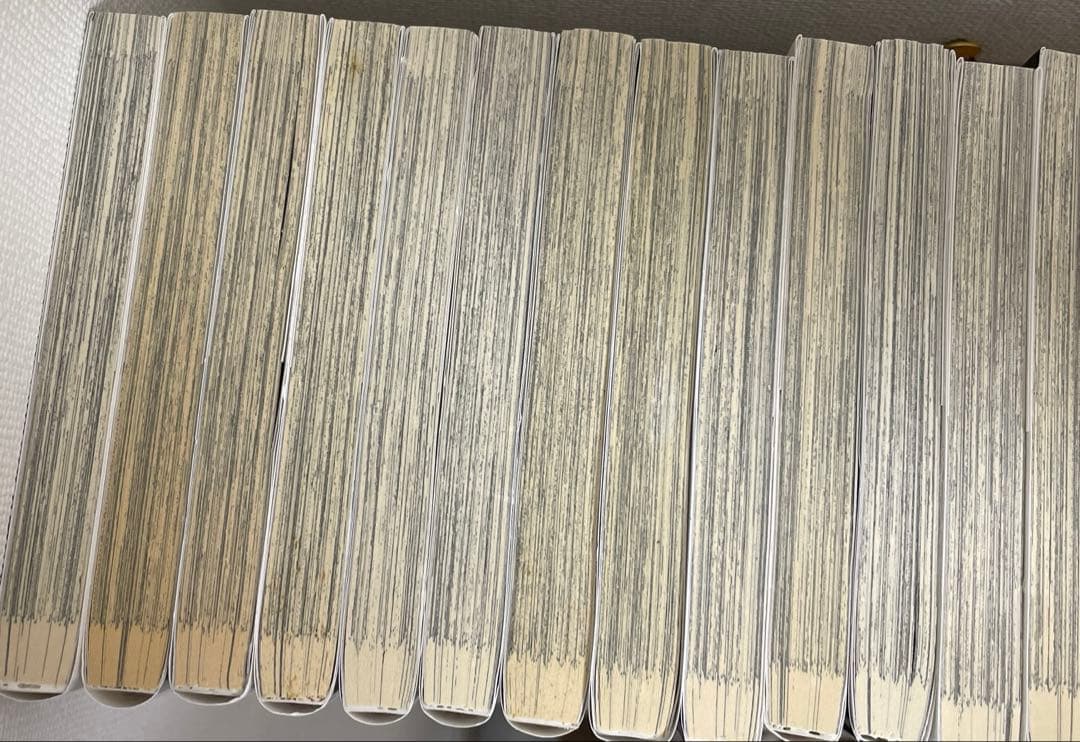 文豪ストレイドッグス全25冊セット&小説全巻セット