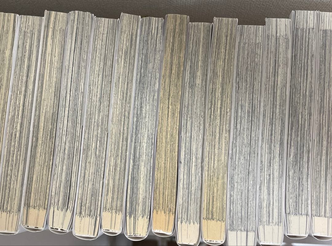 文豪ストレイドッグス全25冊セット&小説全巻セット