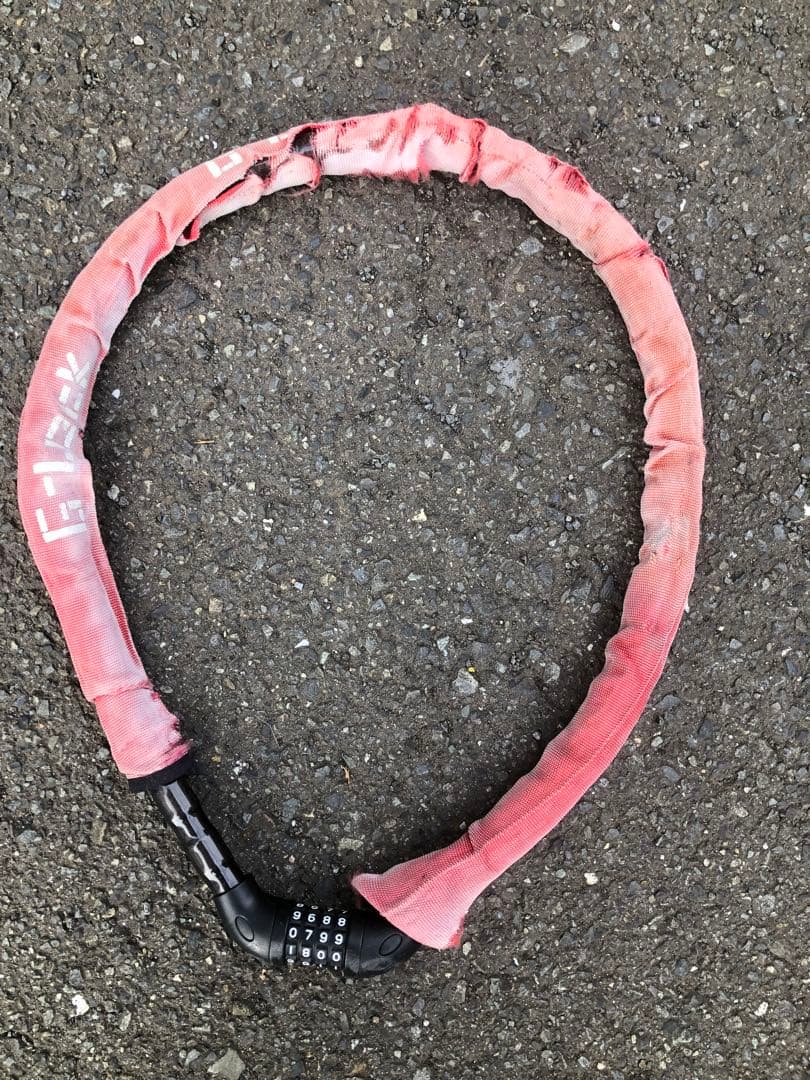 minchan様2025年モデル　パスシオンユー　24インチ　電動アシスト自転車